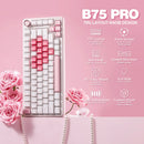 YUNZII B75 PRO White Heart Mechanical Gaming Keyboard, Gasket 75 Knob RGB Keyboard, Triple Mode Hot-Swap Custom Creamy Keyboard